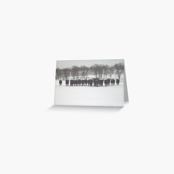 Snowy Audience Greeting Card