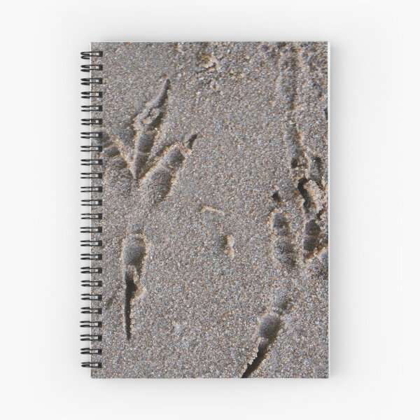 Item preview, footprints crow in sand designed and sold by mrivserg.