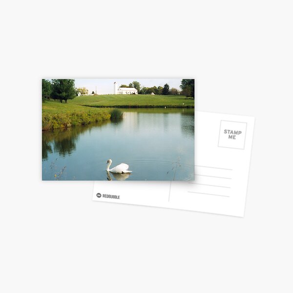 Floating Swan - Lanter Barn Richwood Postcard