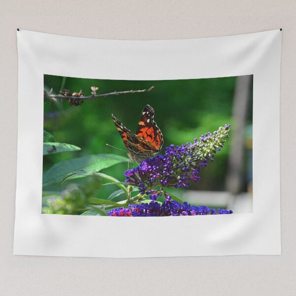 Artikelvorschau, Red Admiral Buttferly 2 entworfen und verkauft von LisaWootenPhoto.