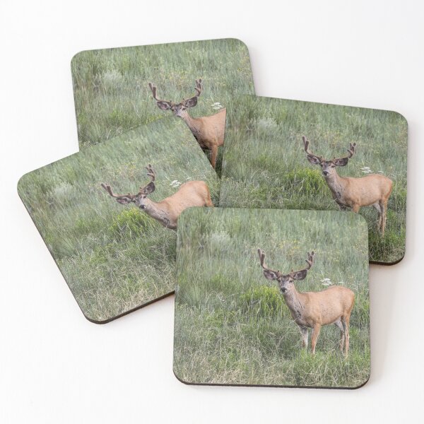Item preview, Mule Deer designed and sold by May Finch.