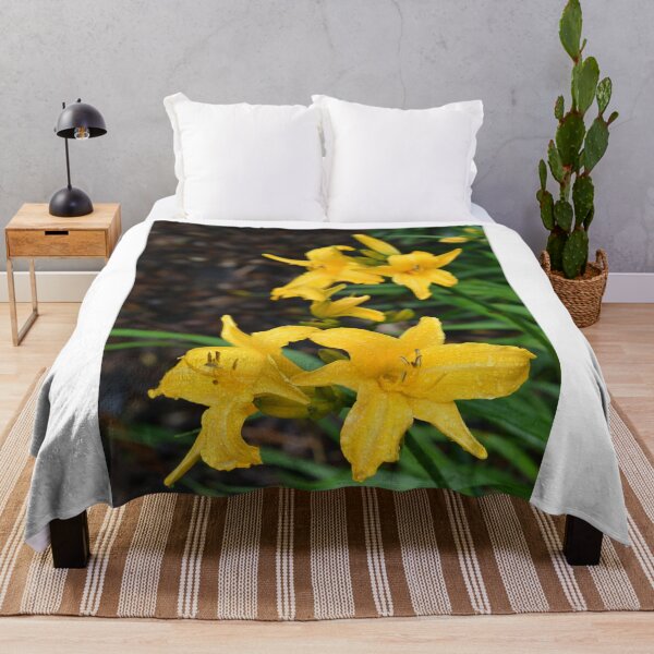 Item preview, Yellow Day Lillies designed and sold by photobymdavey.