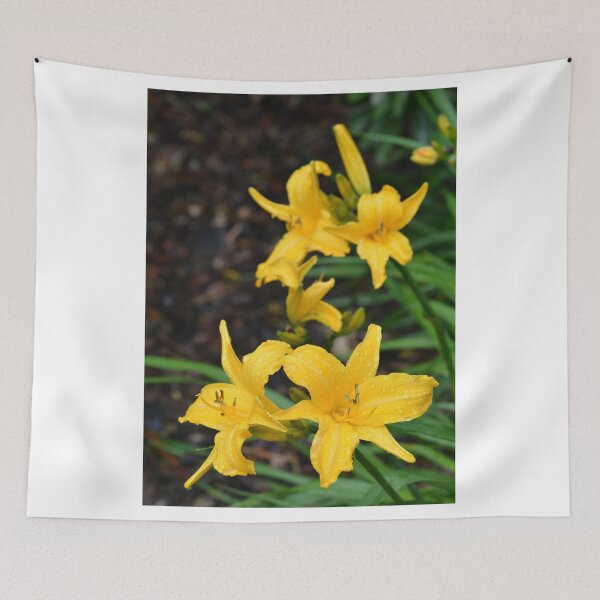 Item preview, Yellow Day Lillies designed and sold by photobymdavey.