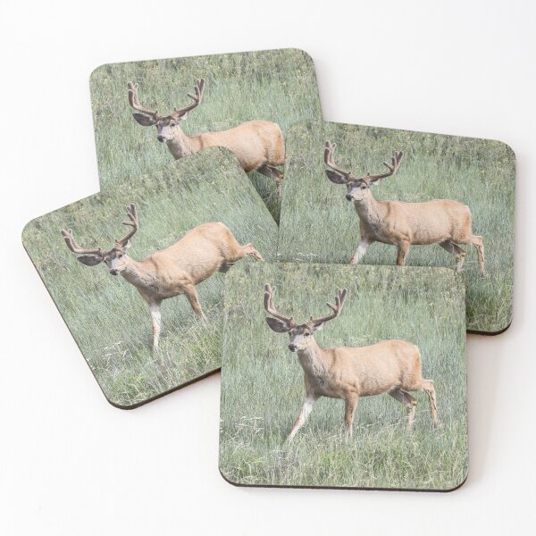 Item preview, 8 puntos designed and sold by May Finch.