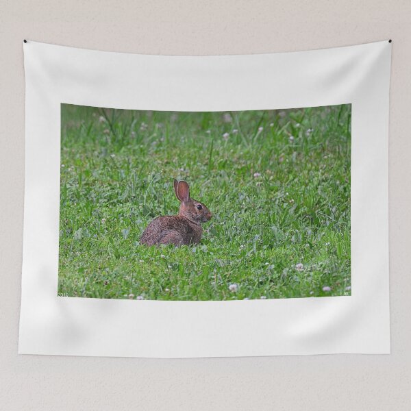 Item preview, Here Comes Peter Cottontail designed and sold by LisaWootenPhoto.