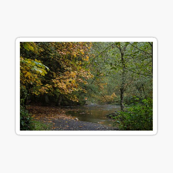 Fall in goldstream park Sticker