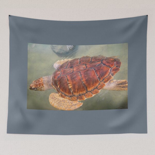 Item preview, Sri Lanka. Victor Hasselblad Sea Turtle Research & Conservation Center. Swimming Turtle. designed and sold by vadim19.