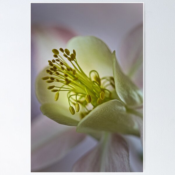 Item preview, Annie's Flower designed and sold by Dianne English.