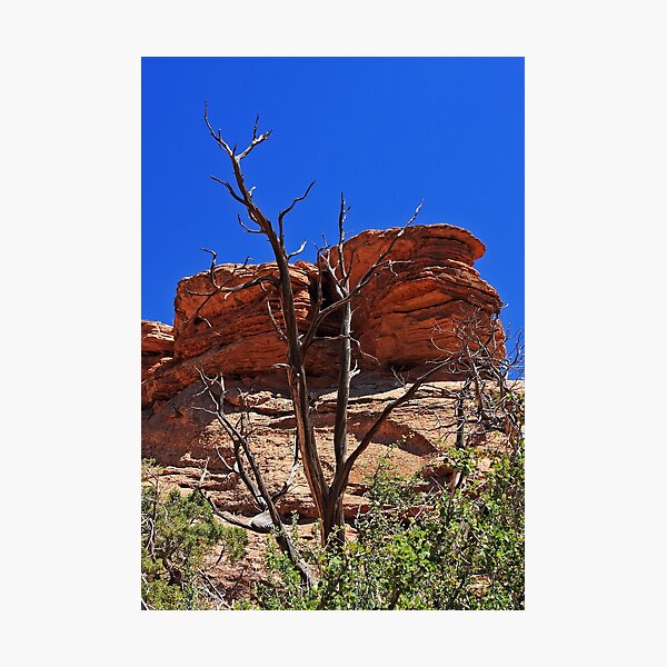 Item preview, Twisted Tree designed and sold by Julia Washburn.