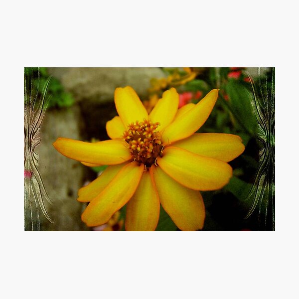Just A Memory © Photographic Print