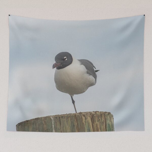 Item preview, one-legged laughing Gull designed and sold by KensLensDesigns.