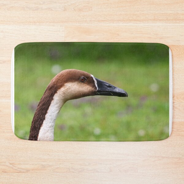 Item preview, Swan goose designed and sold by GreyFeatherPhot.