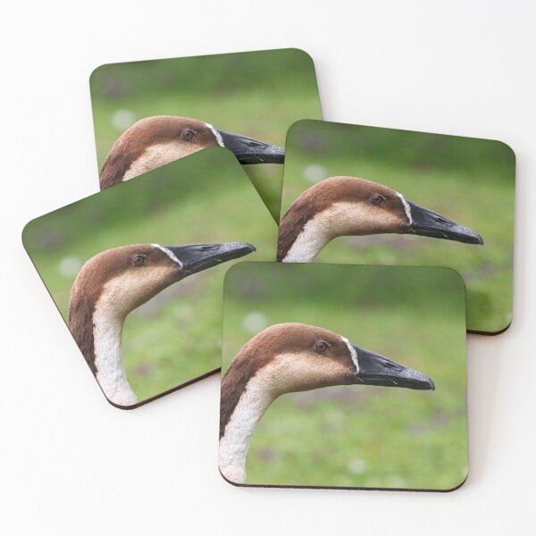 Item preview, Swan goose designed and sold by GreyFeatherPhot.