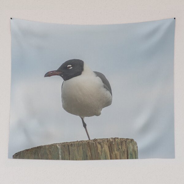 Item preview, One-legged laughing Gull designed and sold by KensLensDesigns.