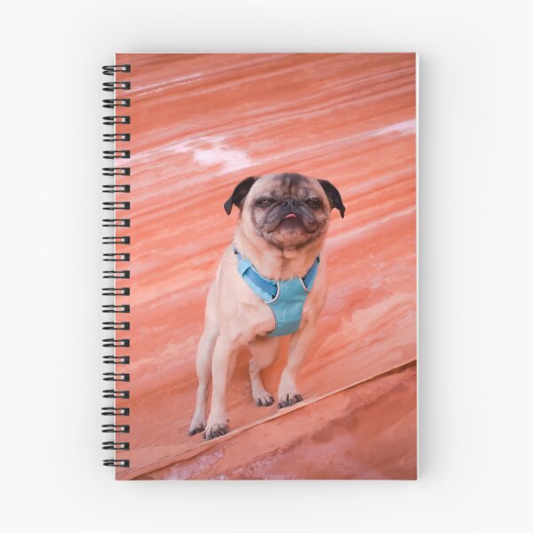 Item preview, Tilted Pug on a Ledge designed and sold by pugventurephoto.