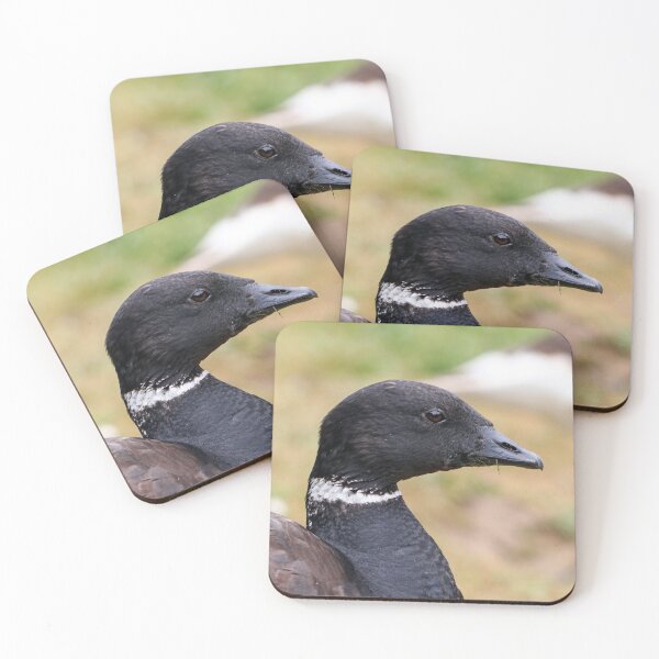 Item preview, Brent goose portrait designed and sold by GreyFeatherPhot.
