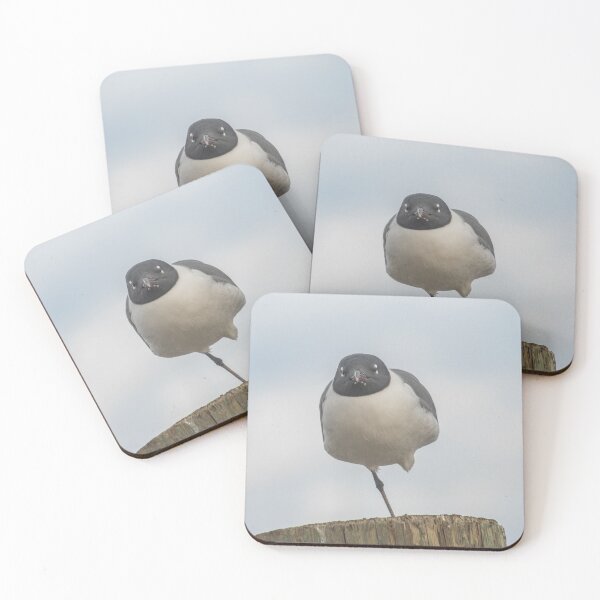 Item preview, Handicap Gull designed and sold by KensLensDesigns.