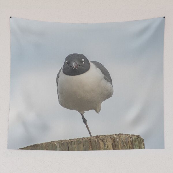 Item preview, Handicap Gull designed and sold by KensLensDesigns.