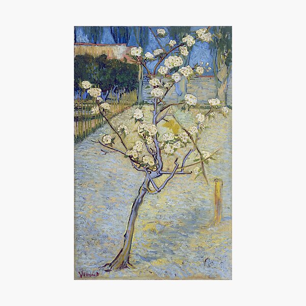 Item preview, Vincent Van Gogh - Small pear tree in blossom designed and sold by vakashop.