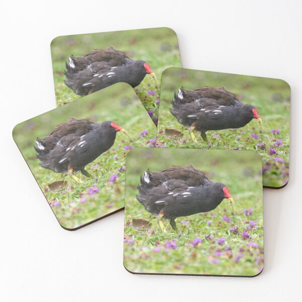 Item preview, Moorhen in purple flowers I designed and sold by GreyFeatherPhot.