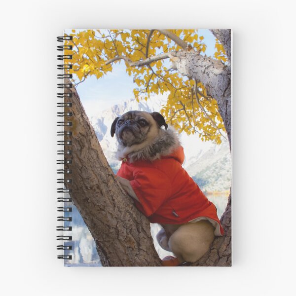 Item preview, Mountain Pug Enjoys View From the Trees designed and sold by pugventurephoto.