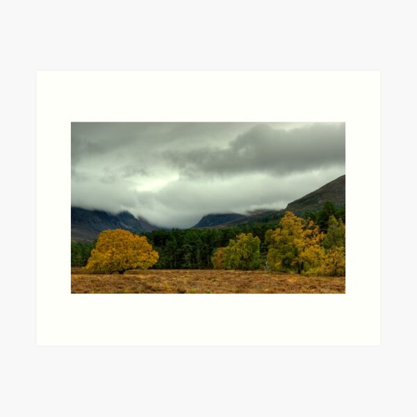 Item preview, Cairngorm Autumn designed and sold by Jamie  Green.