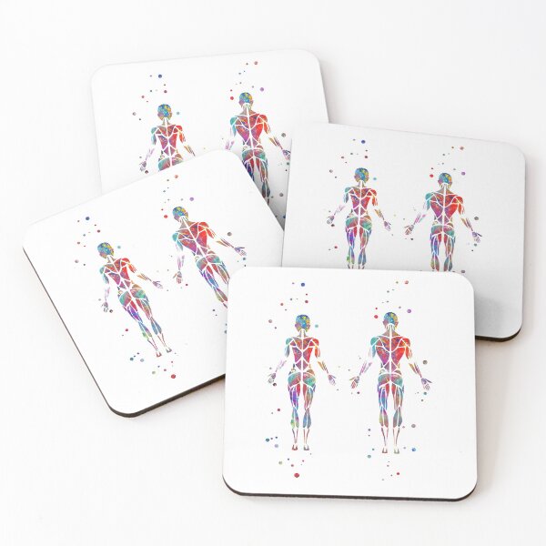 Item preview, Muscular System, human body, human muscles,  female body, man body designed and sold by Rosaliartbook.