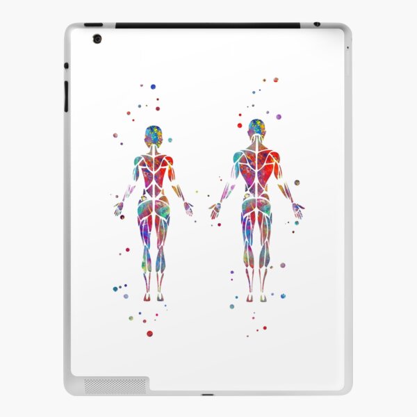iPad-Hülle & Skin for Sale mit Muskelsystem