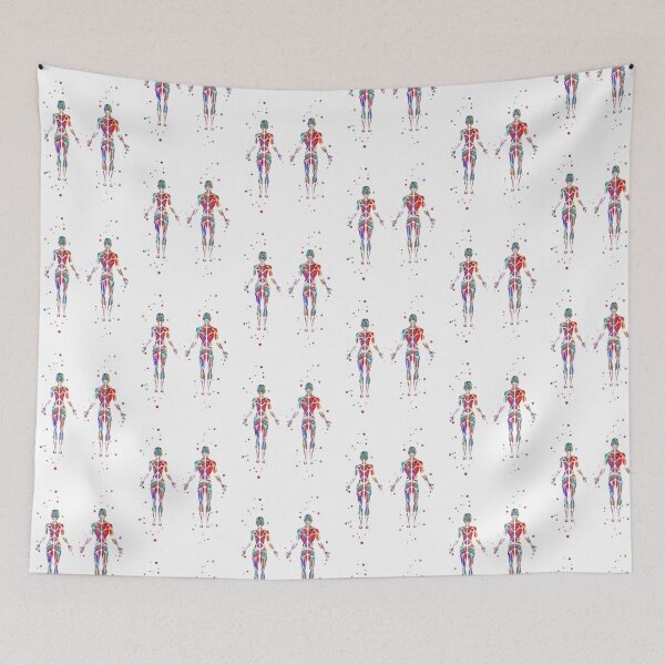 Item preview, Muscular System, human body, human muscles,  female body, man body designed and sold by Rosaliartbook.