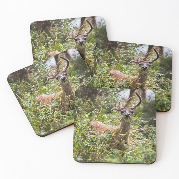 Item preview, Asymmetrical designed and sold by Belinda Greb Photography.