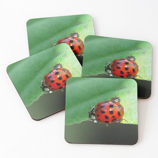 Item preview, Run, Run as Fast as You Can designed and sold by Brenda Burnett.