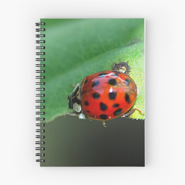 Item preview, Run, Run as Fast as You Can designed and sold by Brenda Burnett.