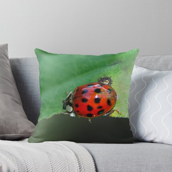 Item preview, Run, Run as Fast as You Can designed and sold by Brenda Burnett.