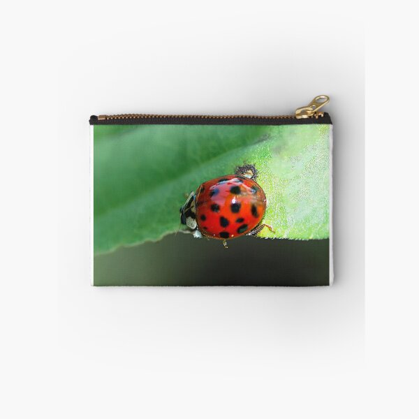 Item preview, Run, Run as Fast as You Can designed and sold by Brenda Burnett.