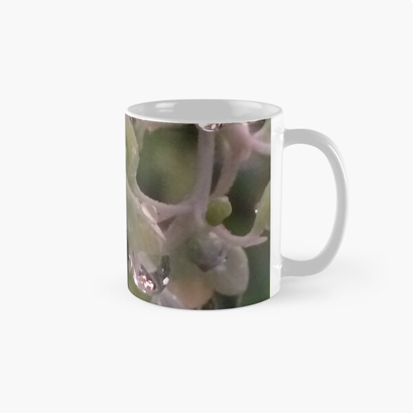 Item preview, Miracolo. ©️Dr.Andrzej Goszcz Photography . designed and sold by © Andrzej Goszcz,M.D. Ph.D.