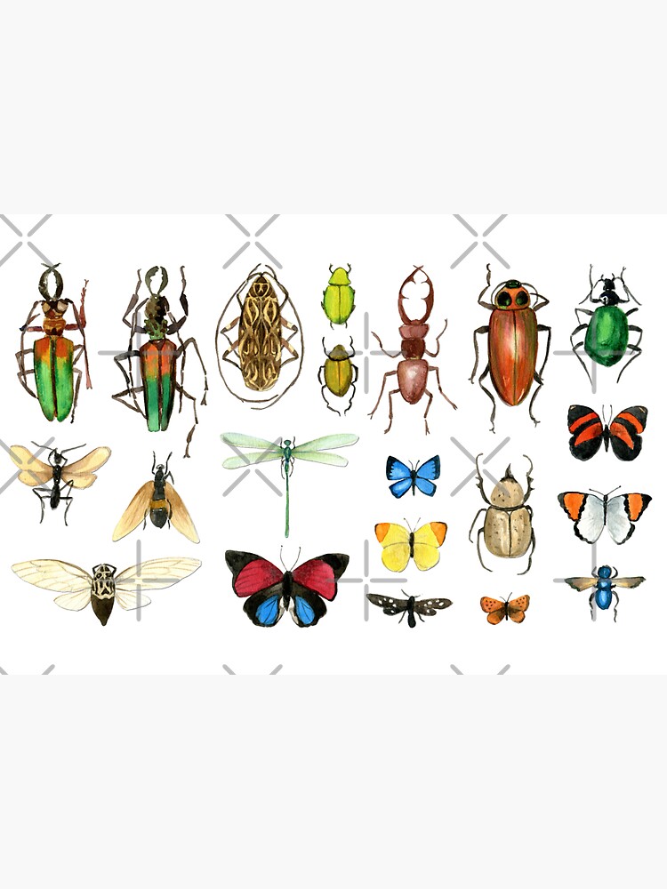 The Usual Suspects - Insects on grey - watercolour bugs pattern by Cecca Designs by Cecca-Designs