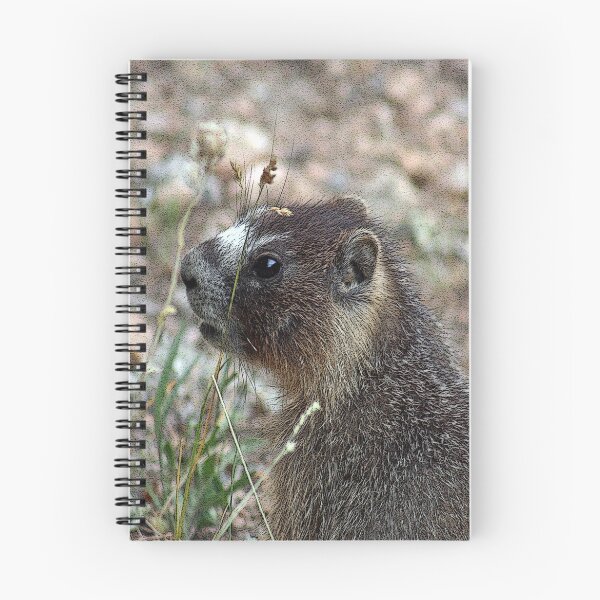 Item preview, Rocky Mountain Marmot designed and sold by mokacat.