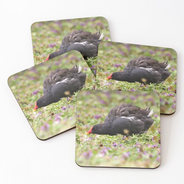 Item preview, Moorhen in flowers II designed and sold by GreyFeatherPhot.