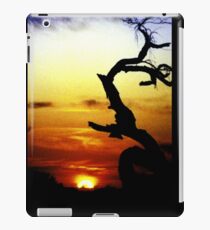 Desert iPad Case/Skin