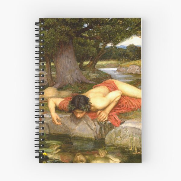 Item preview, Echo and Narcissus - John William Waterhouse designed and sold by maryedenoa.