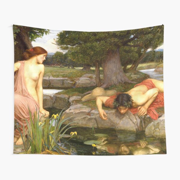 Item preview, Echo and Narcissus - John William Waterhouse designed and sold by maryedenoa.