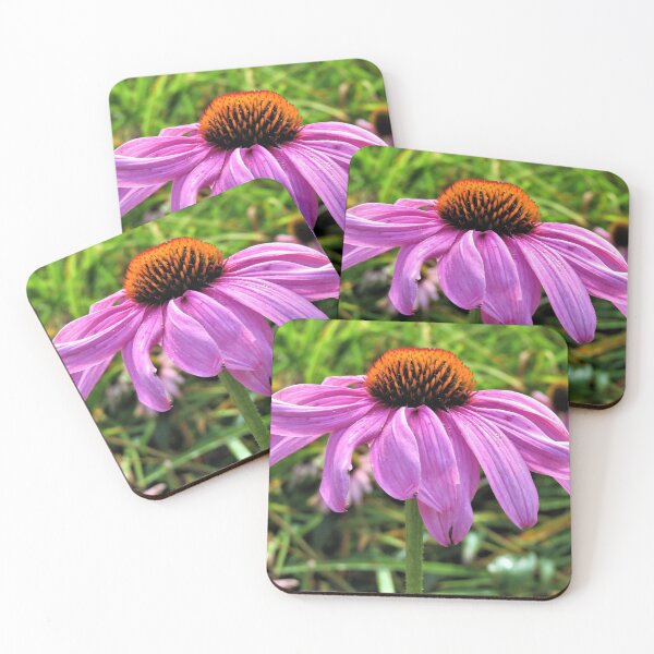 Item preview, Echinacea designed and sold by Lesliebc.