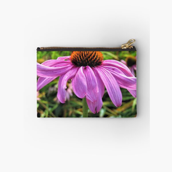 Item preview, Echinacea designed and sold by Lesliebc.