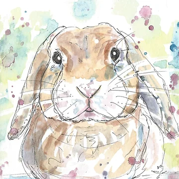 Artwork thumbnail, Lop Rabbit Portrait. by DebTheZeb