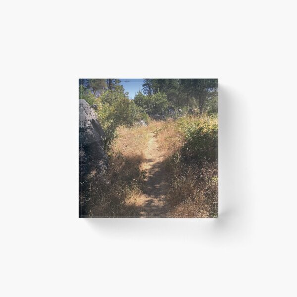 Item preview, Inviting footpath designed and sold by Rita Kindle.