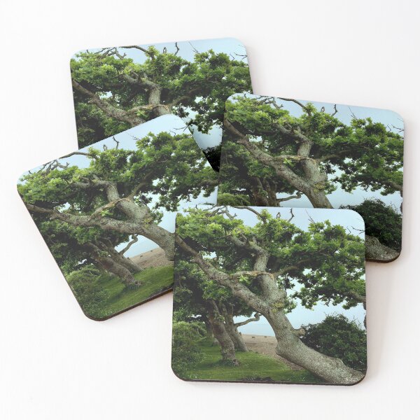 Item preview, beach trees designed and sold by Mandi Collingridge.