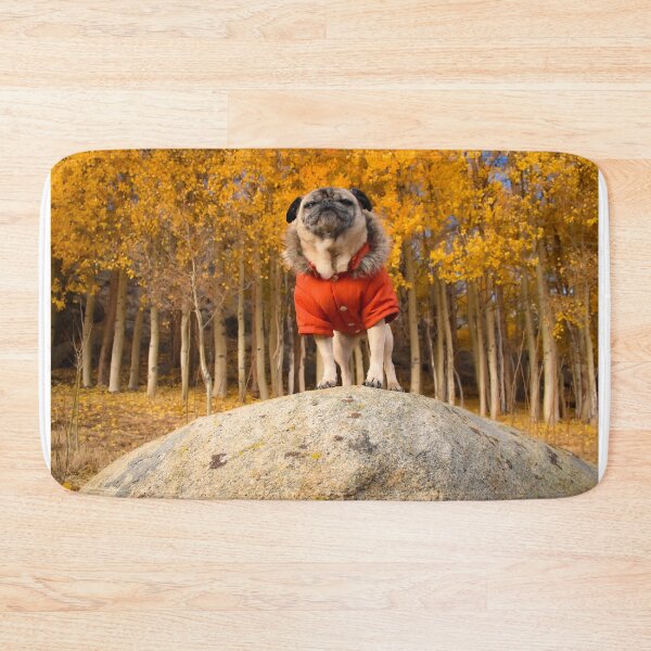 Item preview, Proud Pug in Fall Foliage designed and sold by pugventurephoto.