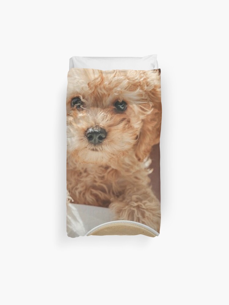 cockapoo duvet cover