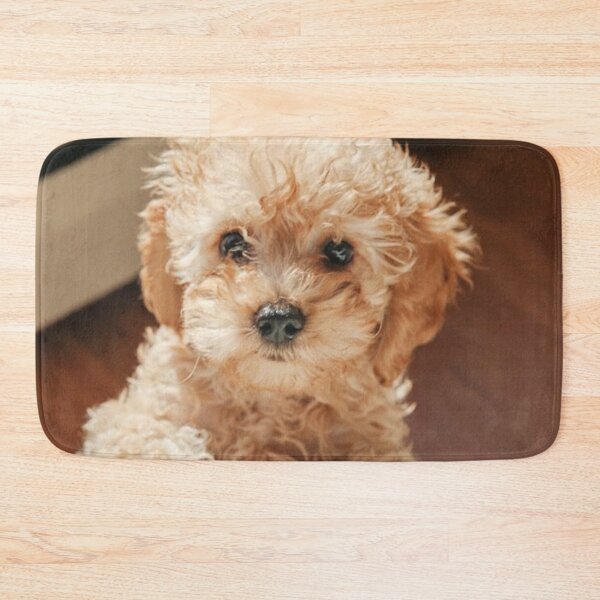 Item preview, Cute Dog "cockapoo" Coffee Design designed and sold by AboutAbove.