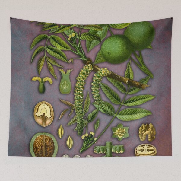 Item preview, Walnut #walnut flowers art designed and sold by JBJart.